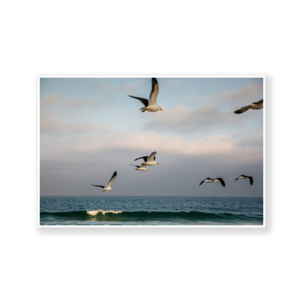 Copacabana Rio de Janeiro Print 2