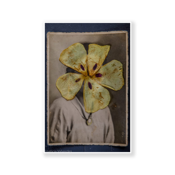 From the Series Dear Ana Print 2