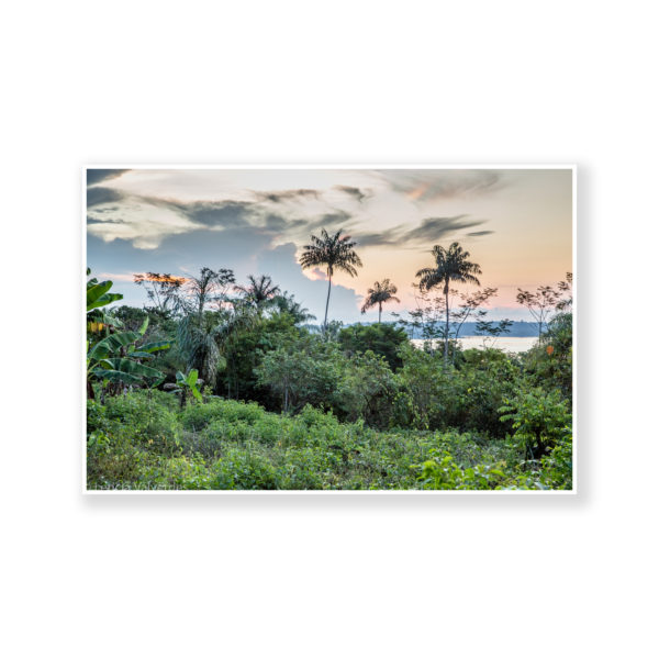 Munduruku Amazon Indigenous people Print 4