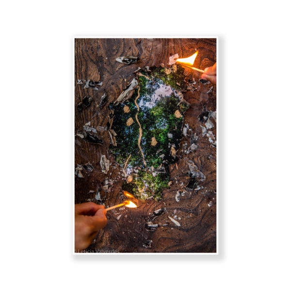 From the series And Now My Children Know Print 4