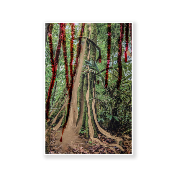 From the series And Now My Children Know Print 2