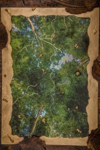 #prayforamazonia-Amazon Sorrow
