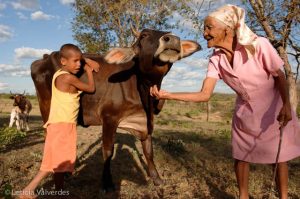 015-9248a31dd3ada5cc5798d7c453fa8fa97398