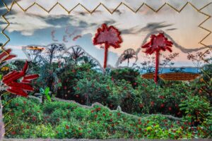 Interventions Leticia Valverdes and the Munduruku