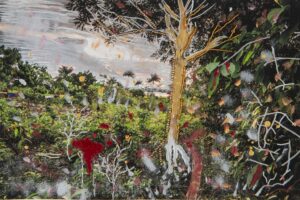 Interventions Leticia Valverdes and the Munduruku